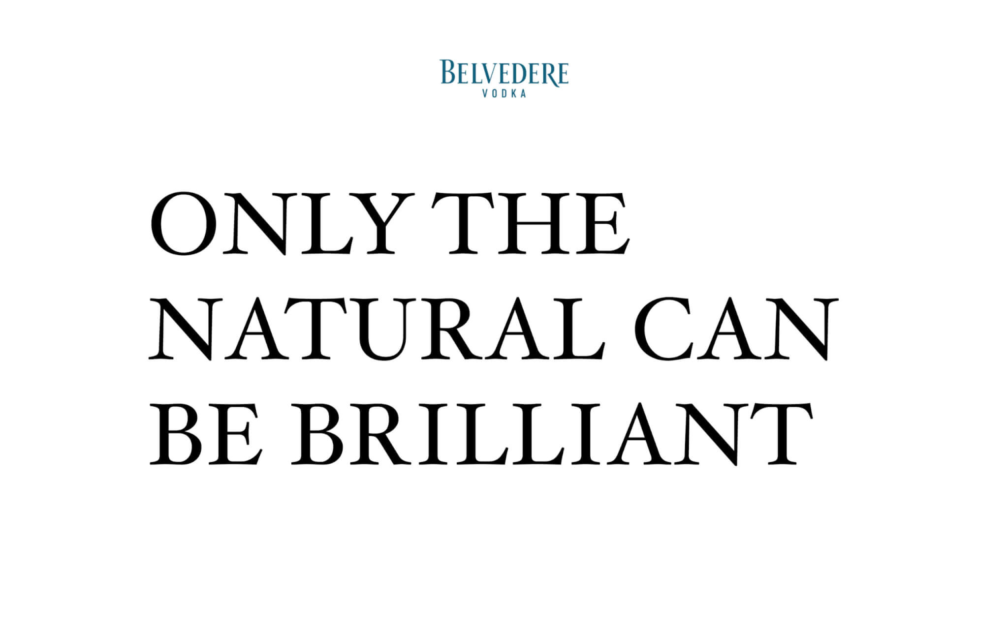 Belvedere_Vodka_Branding_FORMM_Slogan